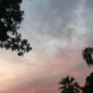 Meet your Posher, Raven